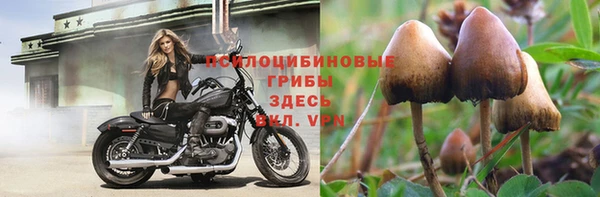 дживик Богородск