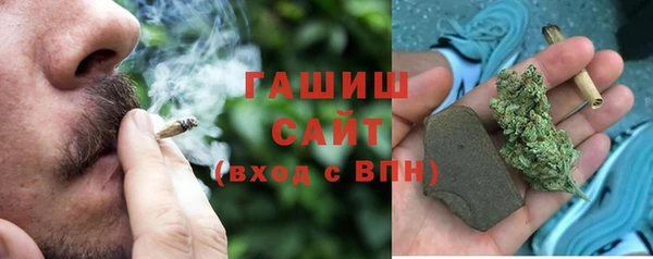 ГАЛЛЮЦИНОГЕННЫЕ ГРИБЫ Богданович