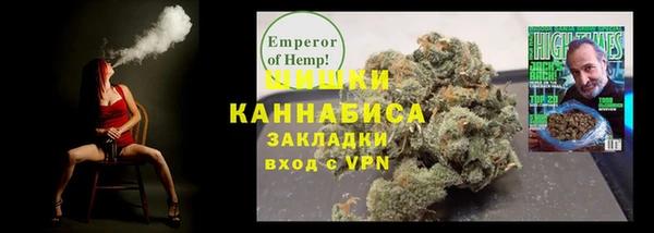 дживик Богородск