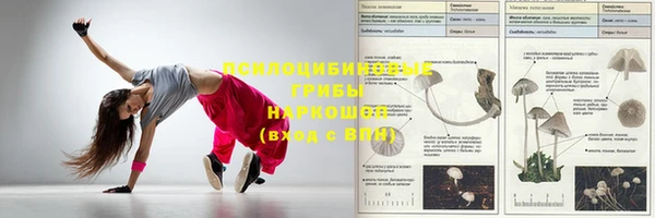 ГАЛЛЮЦИНОГЕННЫЕ ГРИБЫ Богданович