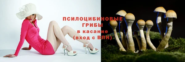ГАЛЛЮЦИНОГЕННЫЕ ГРИБЫ Богданович