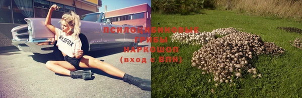 дживик Богородск