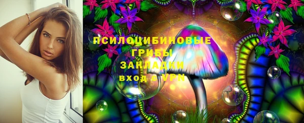 дживик Богородск