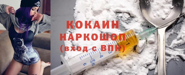 ГАЛЛЮЦИНОГЕННЫЕ ГРИБЫ Богданович