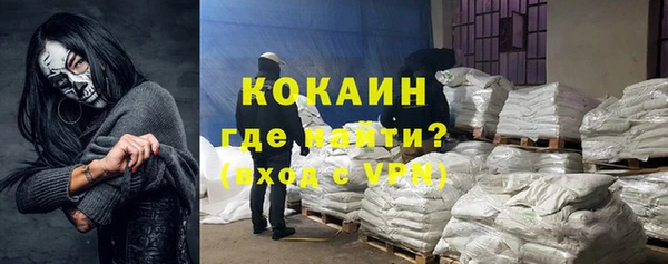 дживик Богородск