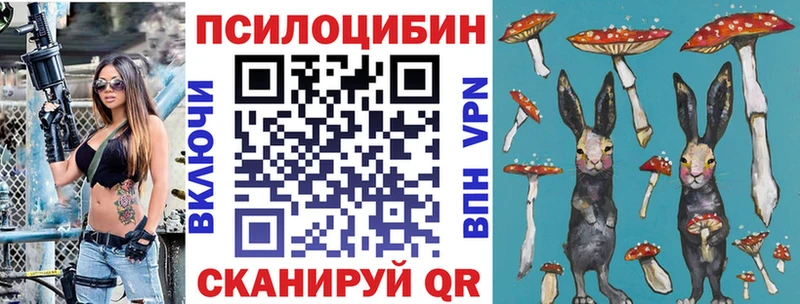 Псилоцибиновые грибы прущие грибы  mega онион  Дмитровск  закладка 